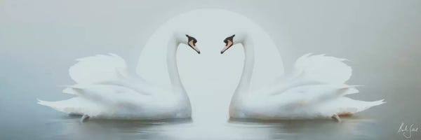 Moonlight Swans