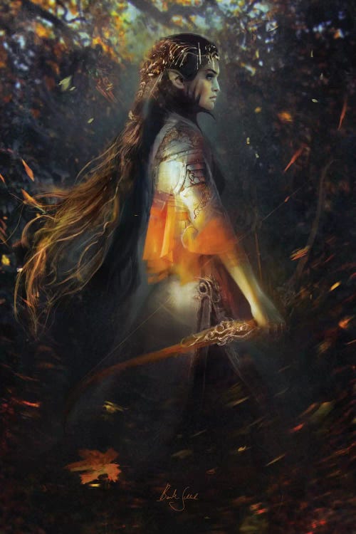 Phoenix Warrior by Bente Schlick wall art