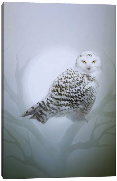 Snow Owl Canvas Art Print - Royal Blue & Silver