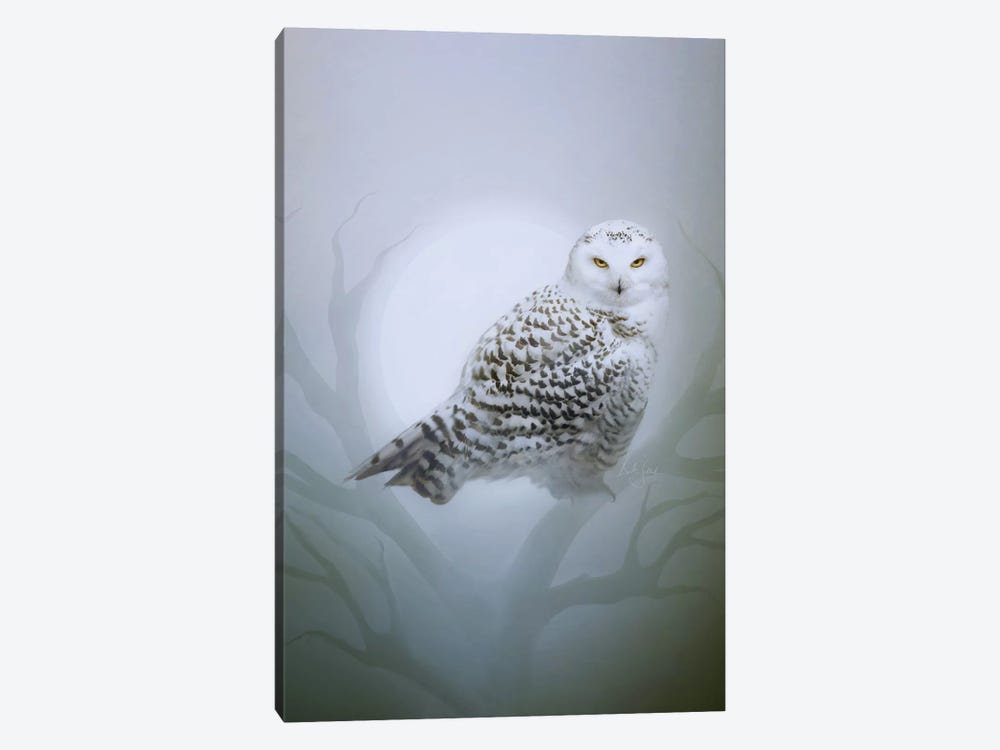 Snow Owl by Bente Schlick 1-piece Canvas Print