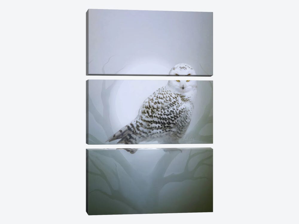 Snow Owl by Bente Schlick 3-piece Canvas Art Print