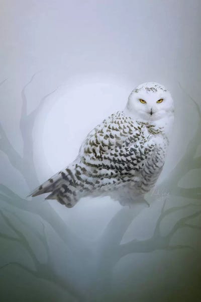 Bente Schlick: Snow Owl by Bente Schlick