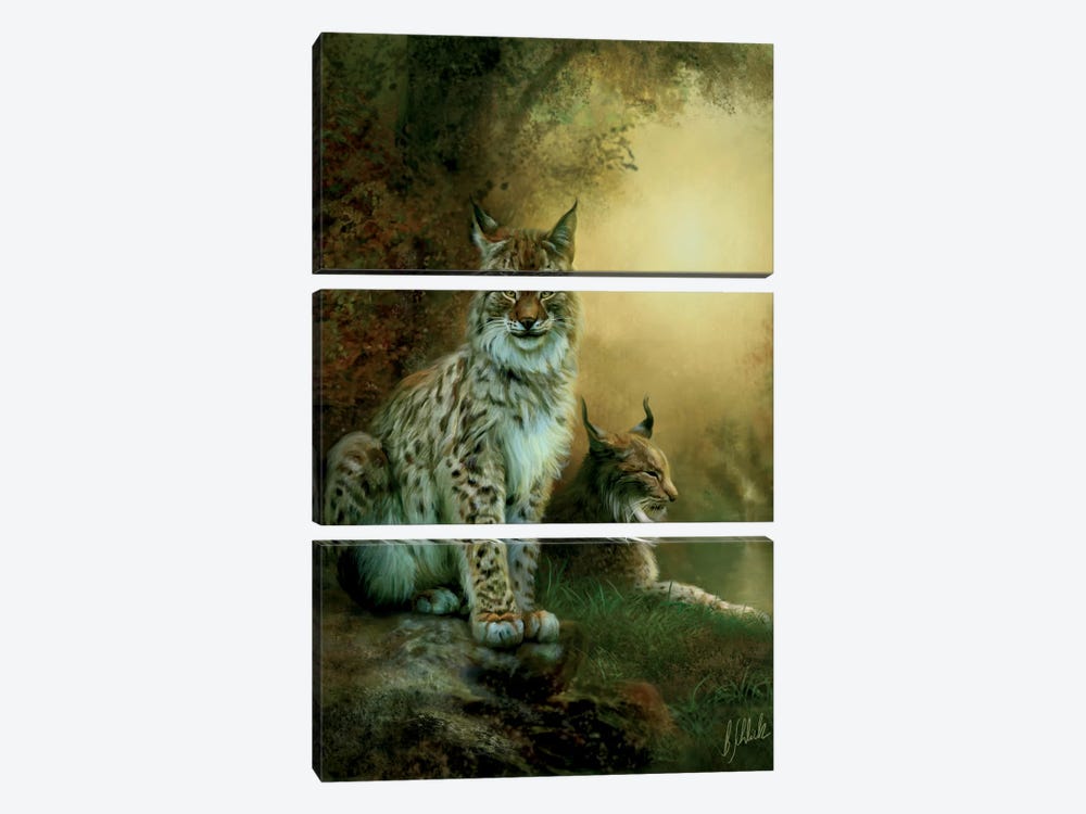 Two Lynxes by Bente Schlick 3-piece Canvas Artwork