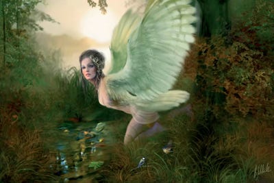 Midsummer by Bente Schlick gallery poster