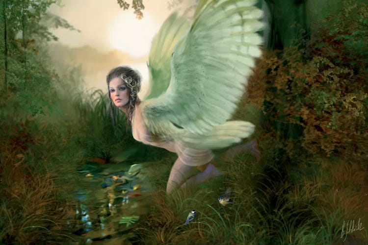 Midsummer by Bente Schlick wall art