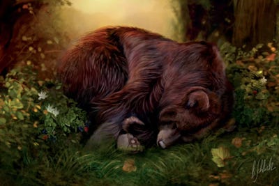 Morning Sun by Bente Schlick gallery poster