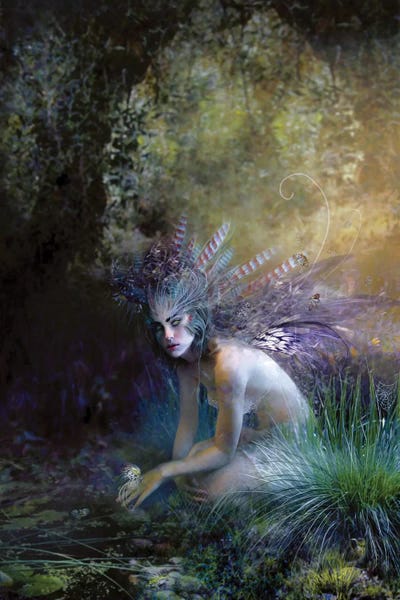 Bente Schlick: Chatoyant by Bente Schlick