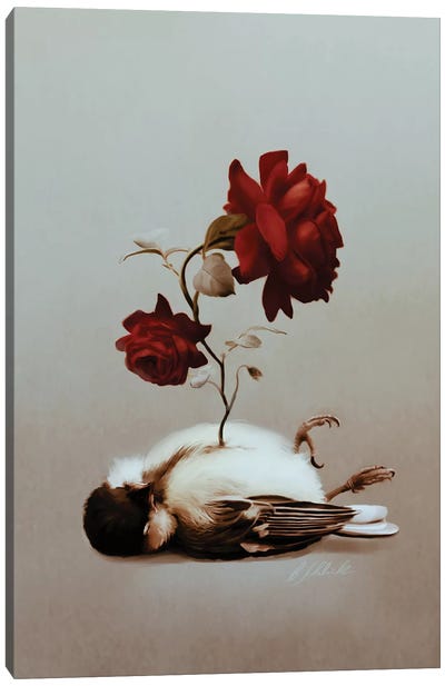 Soul Bird Canvas Art Print - Bente Schlick
