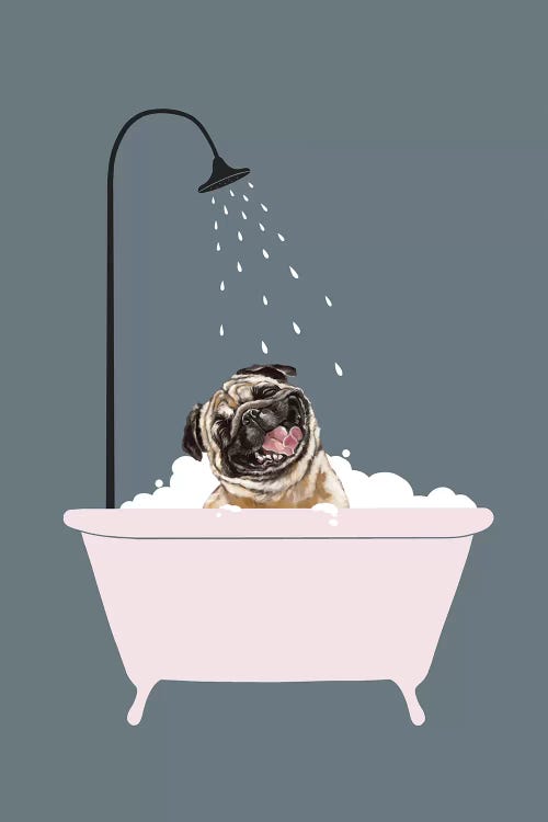 Laughing Pug Enjoying Bubble Bath