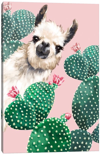 Llama And Cactus Canvas Art Print - Llama & Alpaca Art