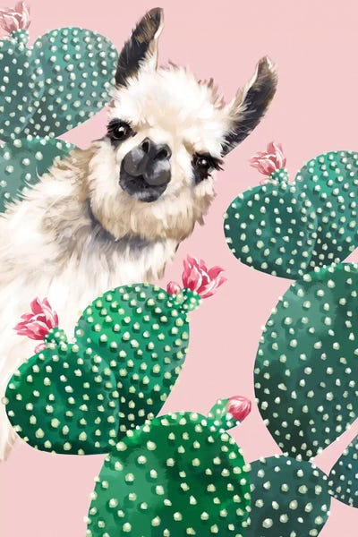 Kids Art Girls: Llama And Cactus by Big Nose Work