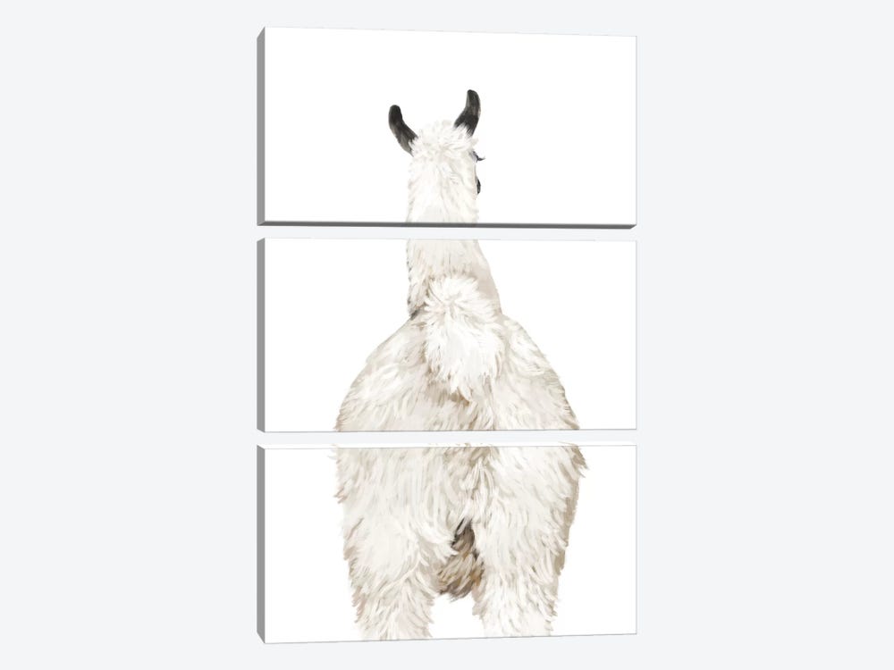 Llama Butt by Big Nose Work 3-piece Canvas Print