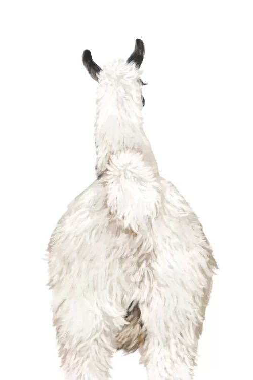 Llama Butt