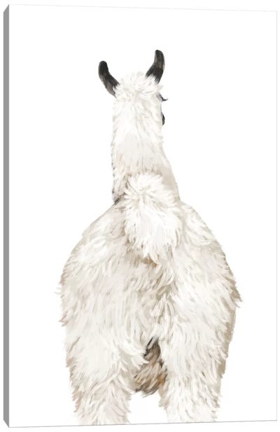 Llama Butt Canvas Art Print - Llama & Alpaca Art