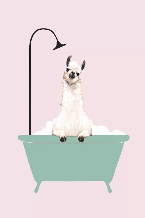 Llama Enjoying Bubble Bath