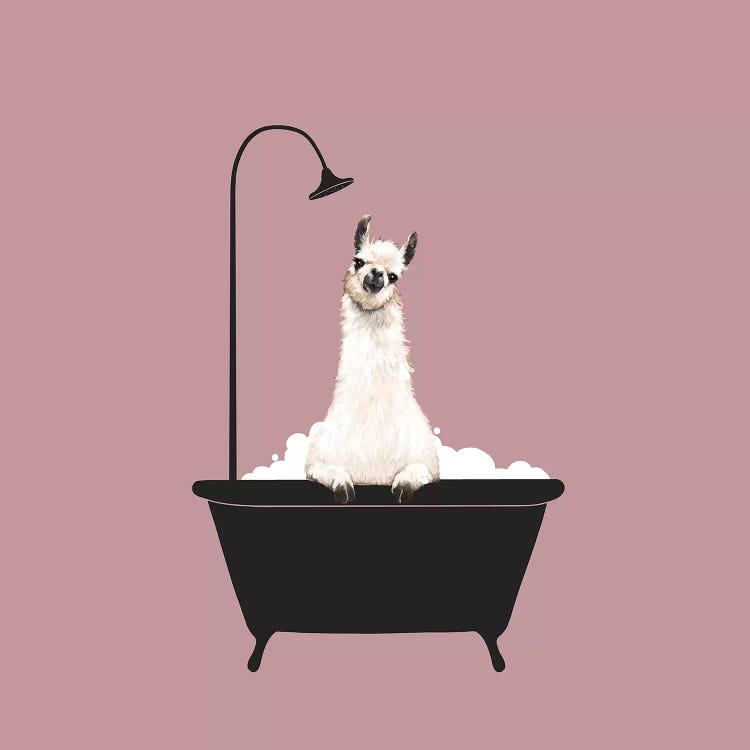 Llama In Bath Tub