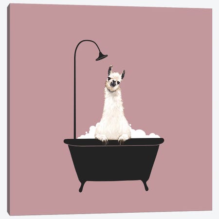 Llama In Bath Tub Canvas Print #BNW104} by Big Nose Work Canvas Art Print