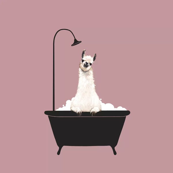 Black & Pink: Llama In Bath Tub by Big Nose Work