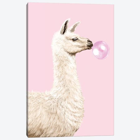 Playful Llama Chewing Bubble Gum In Pink Canvas Print #BNW107} by Big Nose Work Canvas Print