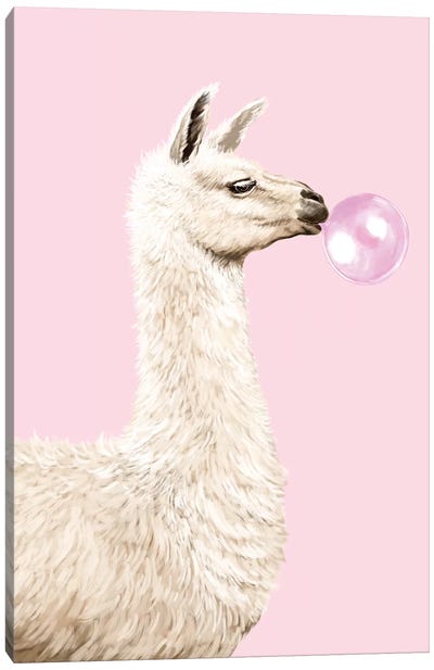 Playful Llama Chewing Bubble Gum In Pink Canvas Art Print - Sweets & Dessert Art