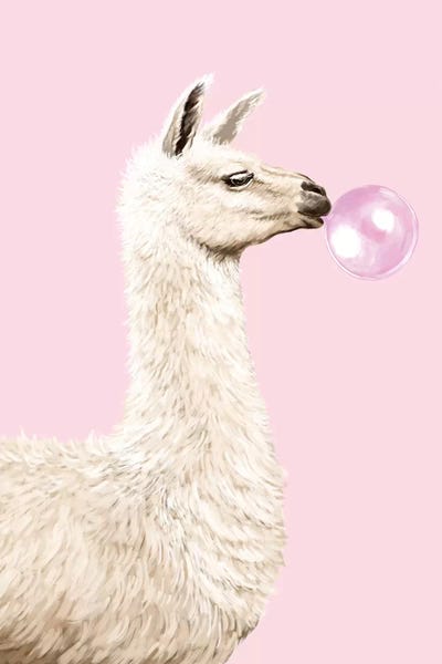 Llamas: Playful Llama Chewing Bubble Gum In Pink by Big Nose Work