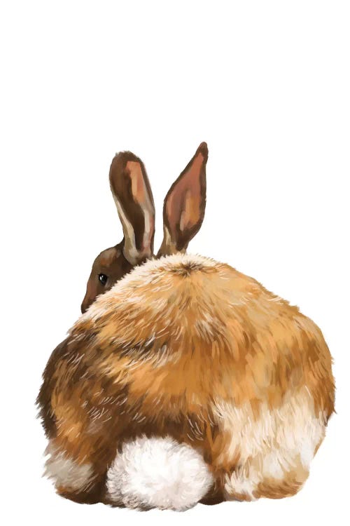 Rabbit Butt