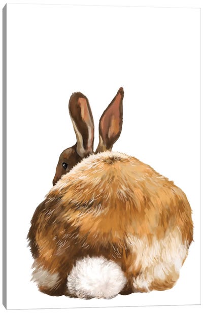 Rabbit Butt Canvas Art Print - Big Nose Work