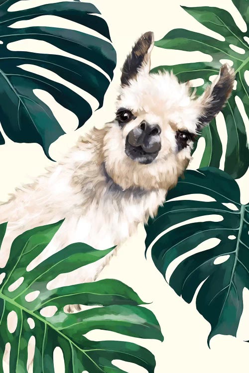 Sneaky Llama With Monstera