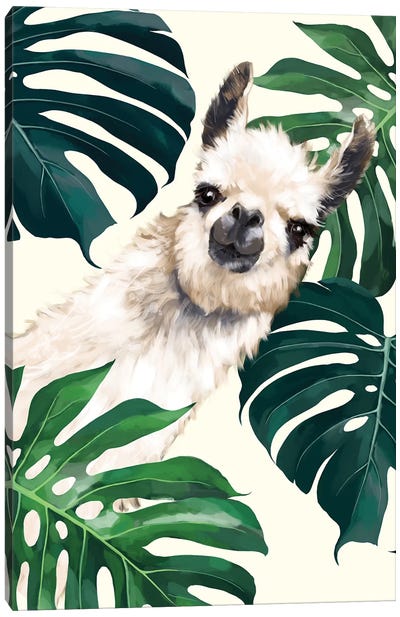 Sneaky Llama With Monstera Canvas Art Print - Big Nose Work