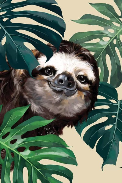 Sneaky Sloth With Monstera
