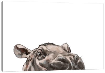 Peeking Hippo Canvas Art Print - Nursery Room Art