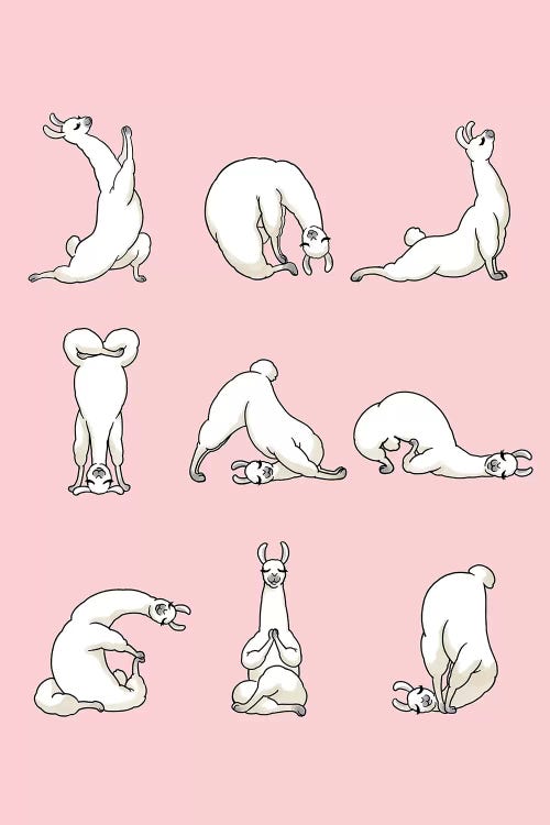 Yoga Llama In Pink