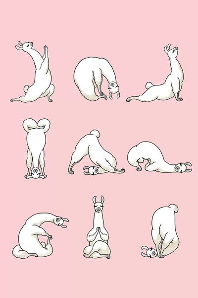 Yoga: Yoga Llama In Pink by Big Nose Work