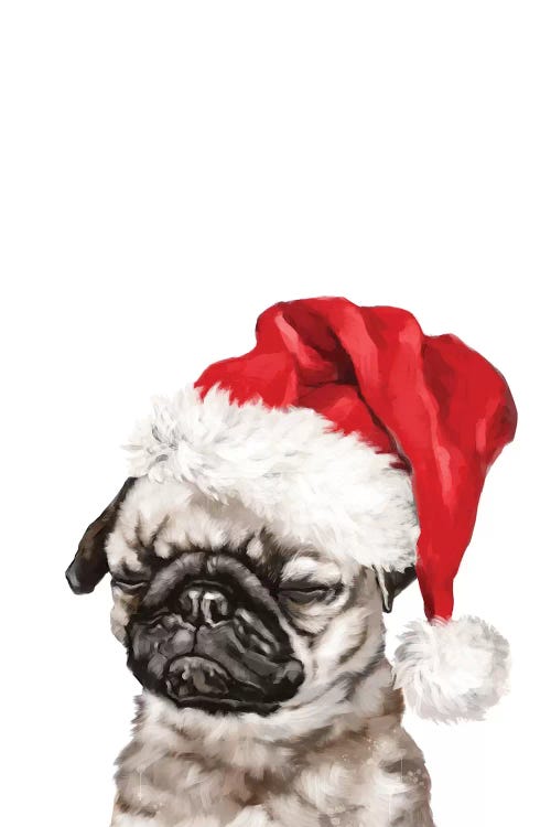 Christmas Meditation Pug