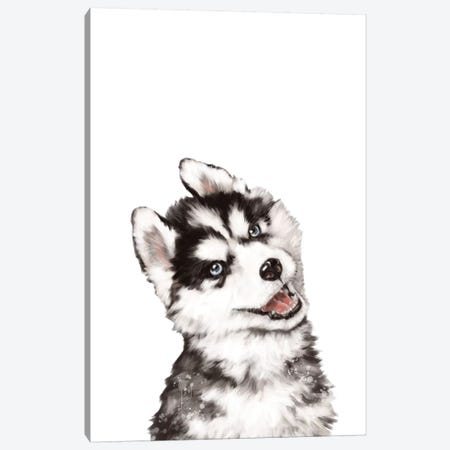 Baby Husky Canvas Print #BNW13} by Big Nose Work Canvas Artwork