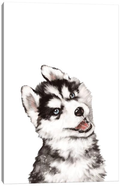 Baby Husky Canvas Art Print - Siberian Husky Art