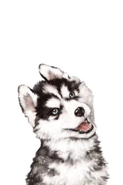 Siberian Huskies: Baby Husky by Big Nose Work