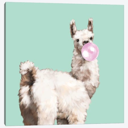 Baby Llama Blowing Bubble Gum Canvas Print #BNW15} by Big Nose Work Art Print