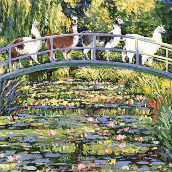 Llamas: Llama And The Water Lily Pond by Big Nose Work