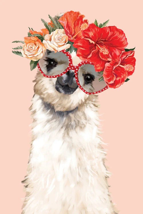 Stylish Llama