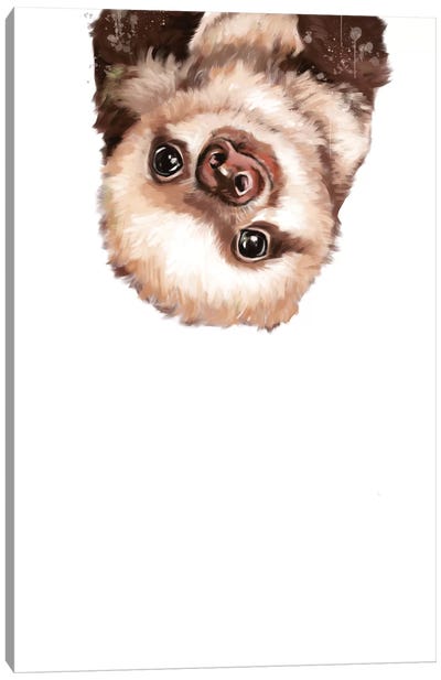 Baby Sloth Canvas Art Print - Sloth Art
