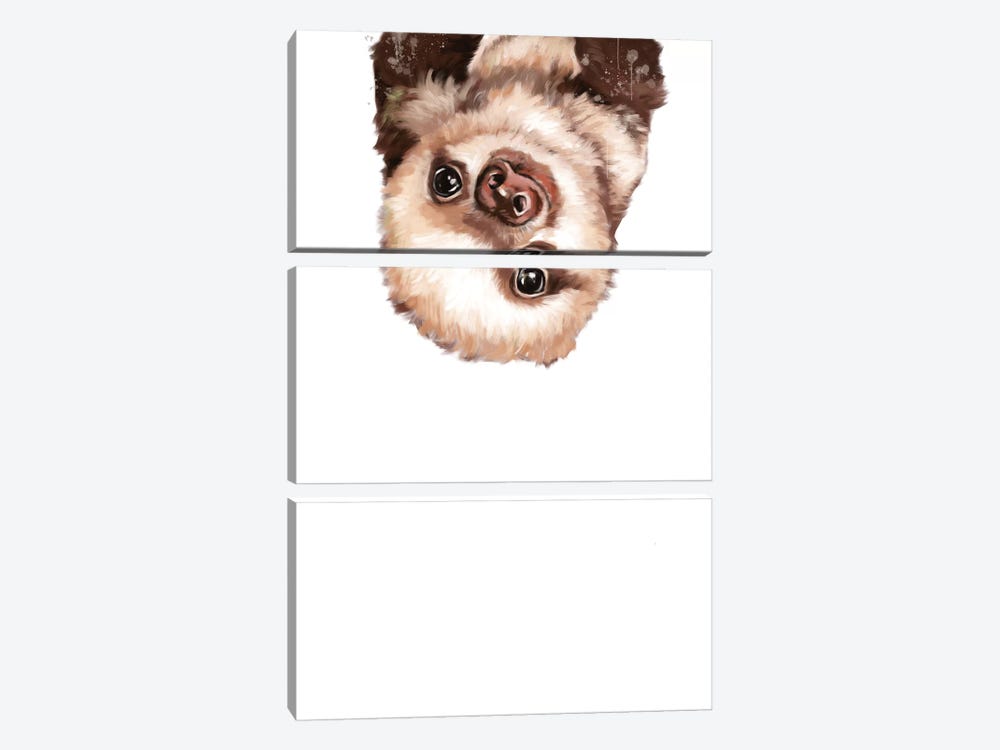 Baby Sloth by Big Nose Work 3-piece Art Print