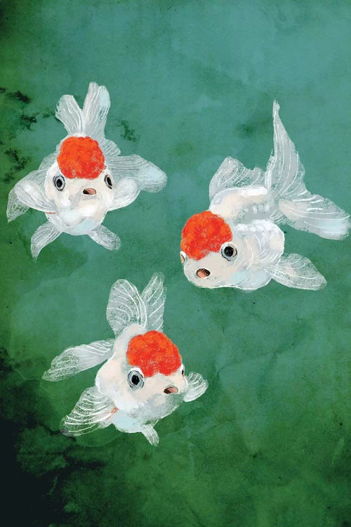 3 Goldfish by Big Nose Work wall art