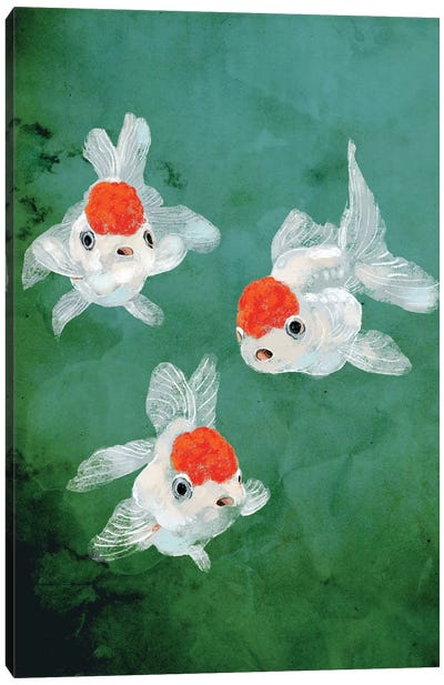 3 Goldfish Canvas Art Print - Goldfish Art