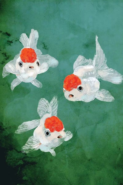 Goldfish: 3 Goldfish by Big Nose Work