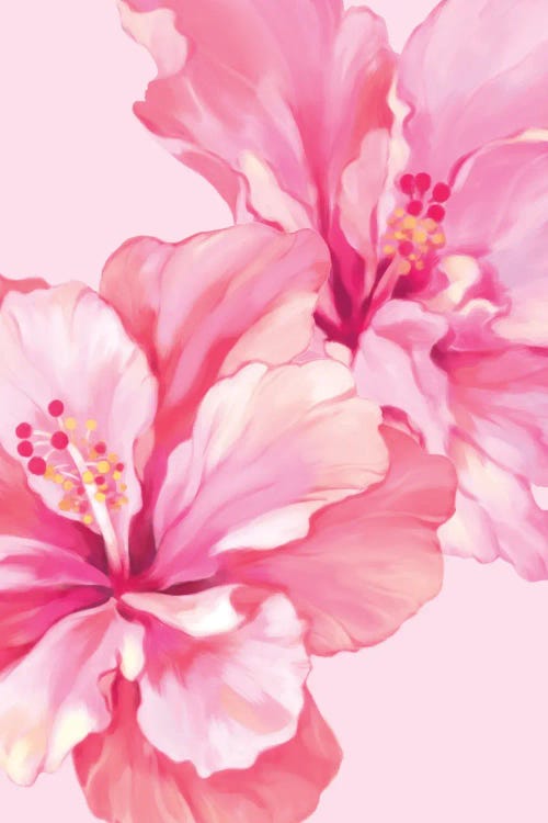 Pastel Pink Hibiscus by Big Nose Work wall art