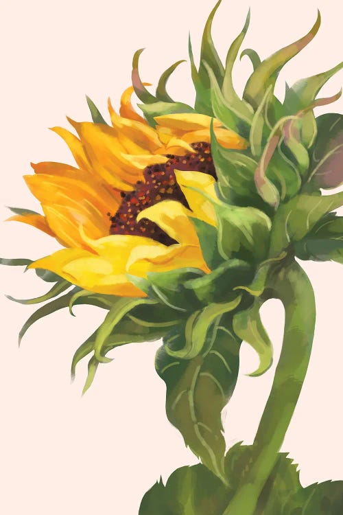 Sunflower by Big Nose Work wall art