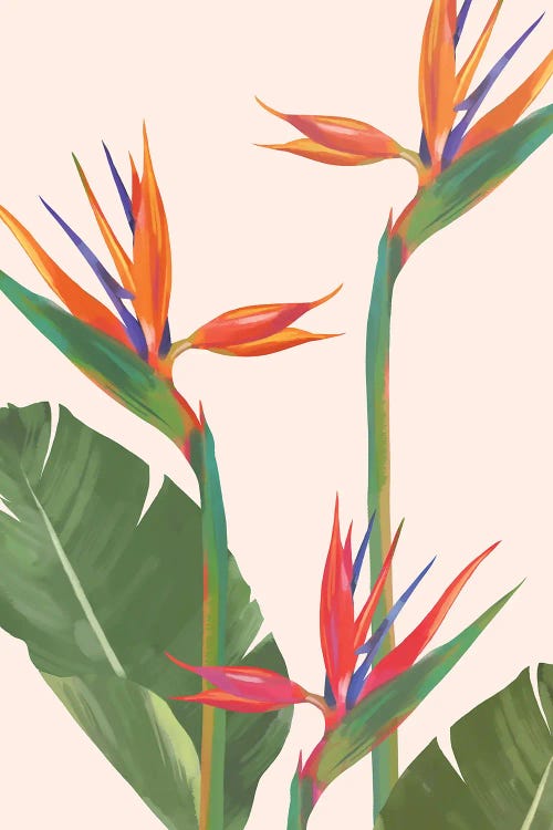 Bird Of Paradise by Big Nose Work wall art