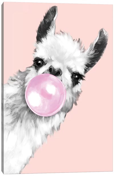 Sneaky Llama Blowing Bubble Gum In Pink Canvas Art Print - Farm Animal Art