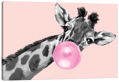 Sneaky Giraffe Blowing Bubble Gum In Pink Canvas Art Print - Nursery Room Art